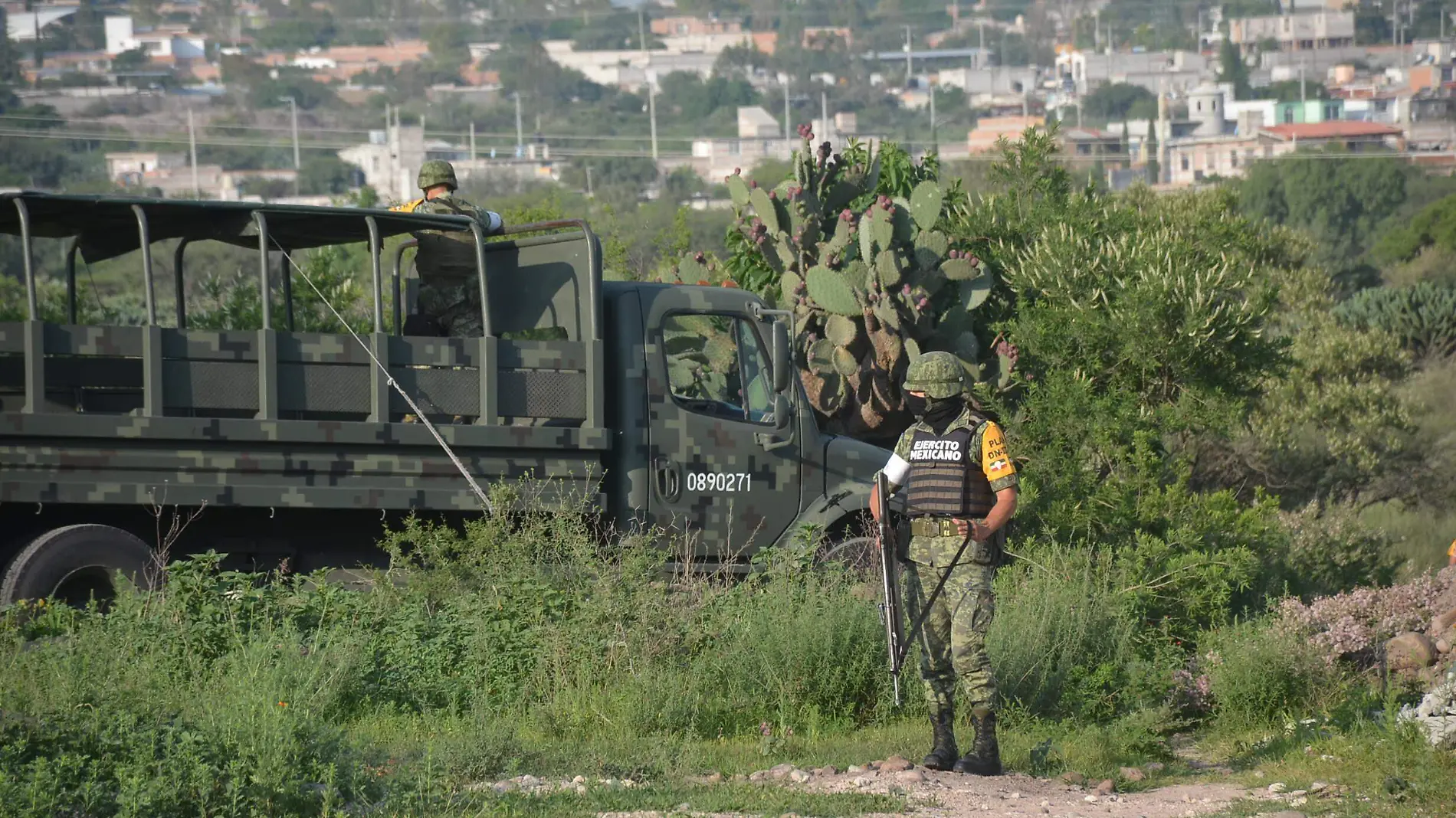 21 JULIO. Resguardado el enorme